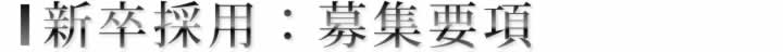 新卒採用：募集要項
